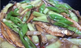 吃瓜的小鱼,吃瓜小鱼的趣味食光之旅