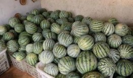 宝妈吃瓜,揭秘娱乐圈那些不为人知的幕后故事