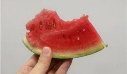 理解吃瓜,一场全民娱乐盛宴