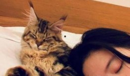 养猫小姐姐吃瓜事件,网络热议背后的真相揭秘