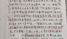 吃瓜400字作文,一场网络事件的众生相