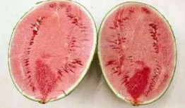 多人吃切瓜教程,实用切瓜教程大揭秘