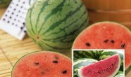 早晚凉午吃瓜,早晚凉意午时瓜果香