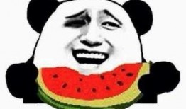 吃瓜群众d,网络热议背后的真相与反思