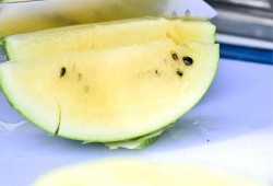 吃瓜网表现,揭秘娱乐圈幕后真相，带你领略网络舆论的力量