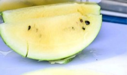 吃瓜网表现,揭秘娱乐圈幕后真相，带你领略网络舆论的力量