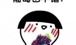 吃瓜减肥句子,吃瓜也能减肥？揭秘神奇减肥法背后的秘密