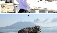 猫猫李吃瓜,揭秘娱乐圈幕后故事