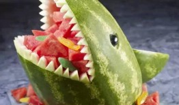 海龙吃瓜,揭秘海洋生物的趣味食性