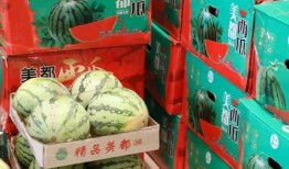 丰顺吃瓜事件视频,一场网络热议背后的真相揭秘