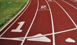 带你吃瓜人生跑道,带你领略人生跑道上的瓜田盛宴