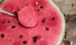 边吃饭边吃瓜,边吃边乐的美食时光