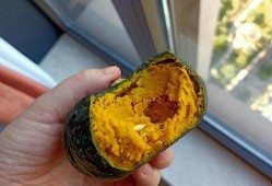 粗粮面瓜怎么吃,健康美味一网打尽