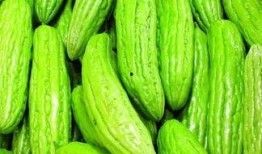 例假后吃蜜瓜,甜蜜呵护女性健康新选择”