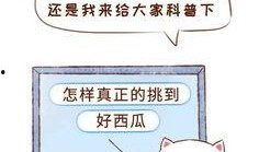 做个吃瓜群众音乐,感受音乐的魅力