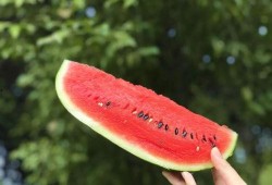 会吃的瓜有什么瓜,揭秘各种瓜果的美食奥秘