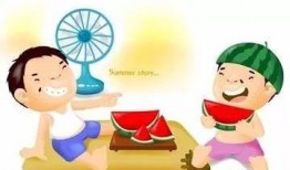 日本吃瓜的故事,一场跨越国界的美食传奇