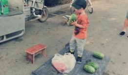 吃瓜吃到自己老家,一场意外的家乡之旅