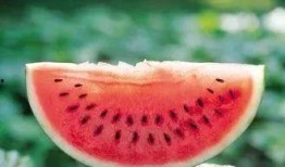 吃瓜群众分几种,揭秘不同类型围观者的众生相